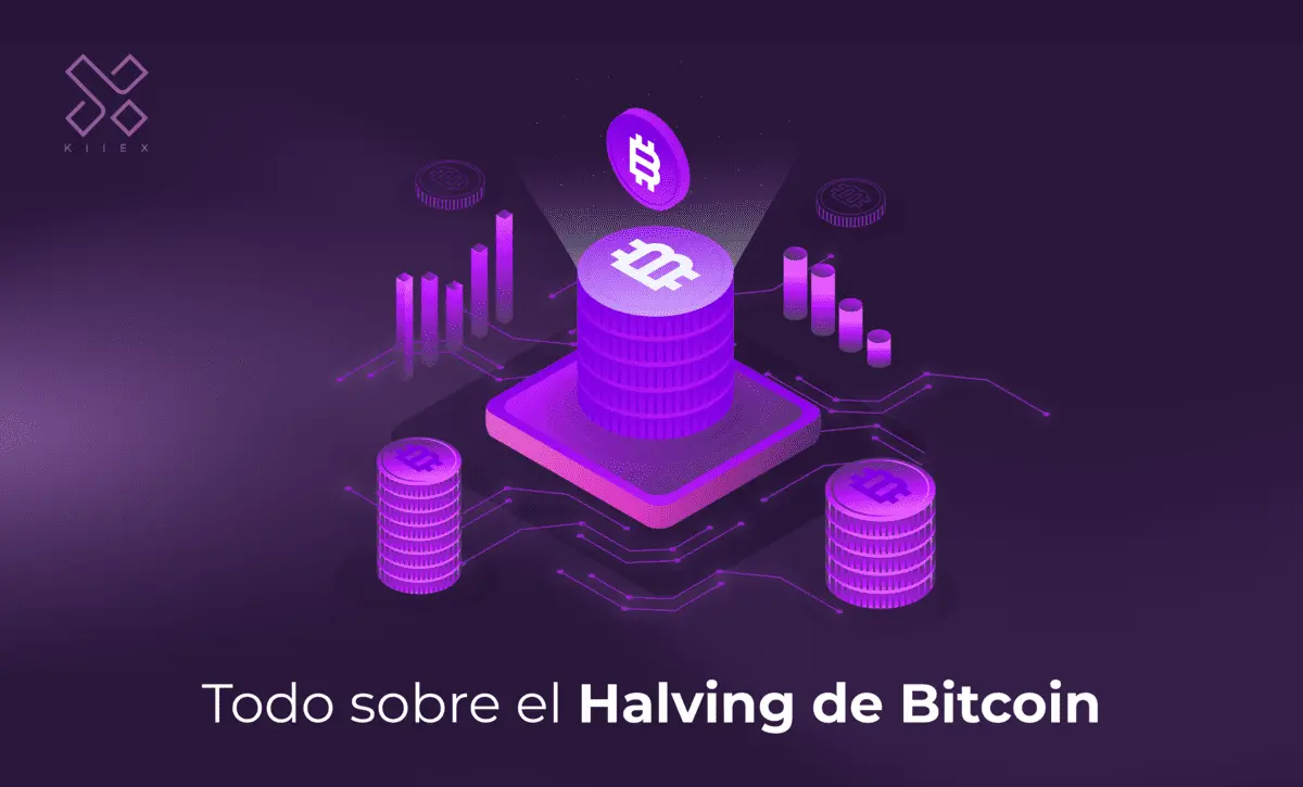 Todo Sobre El Halving De Bitcoin