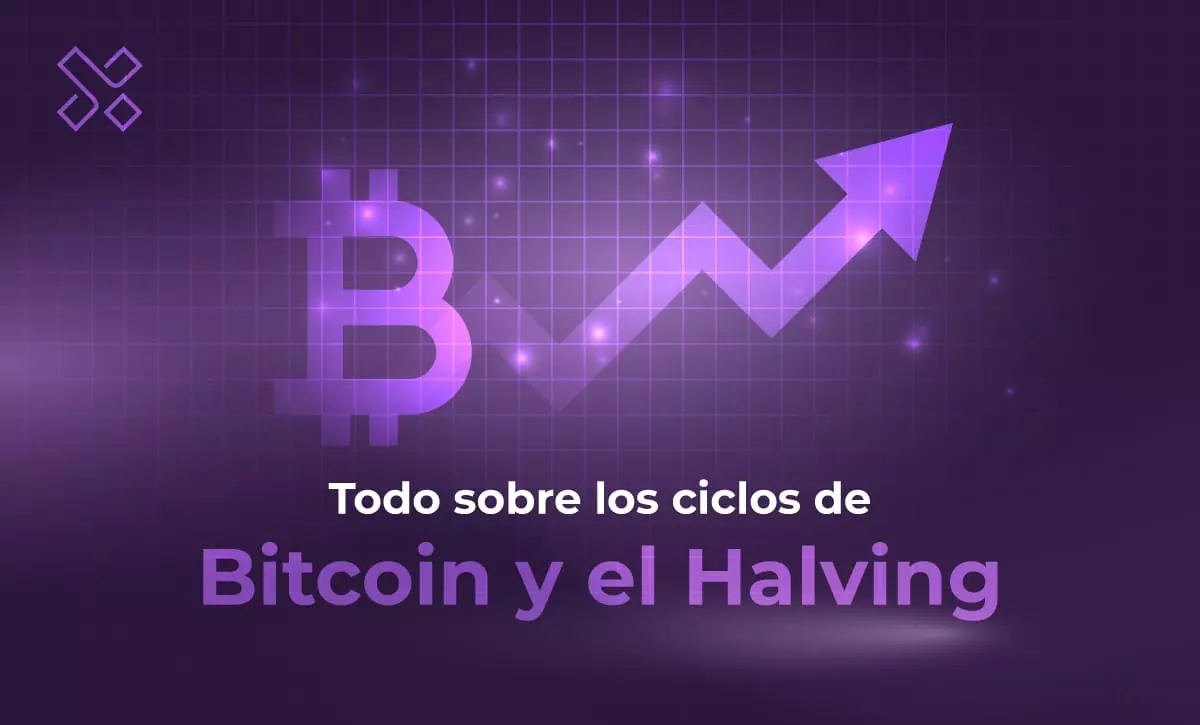 Ciclos de Bitcoin – Desbloqueando el potencial del Halving 2024